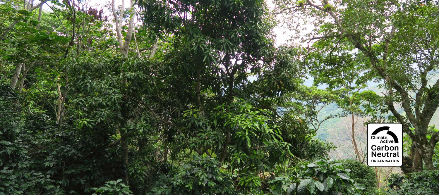 23 Degrees. Carbon neutral coffee roasters based in Melbourne Australia. Climate Active certified.