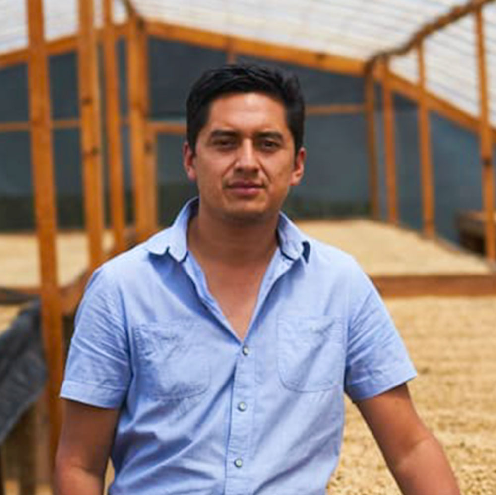 Honduras | Finca Las Flores | Microlot