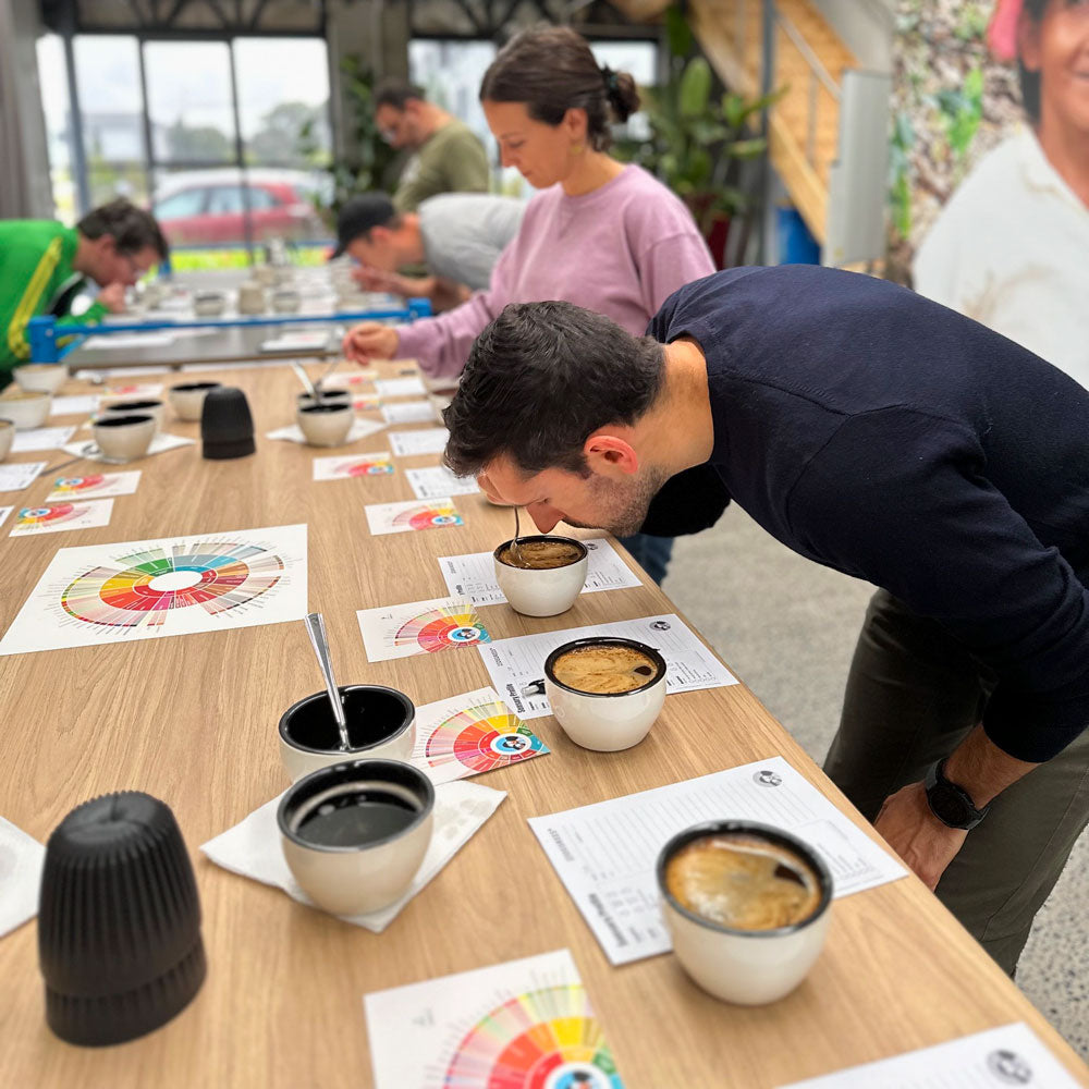group coffee tasting experience