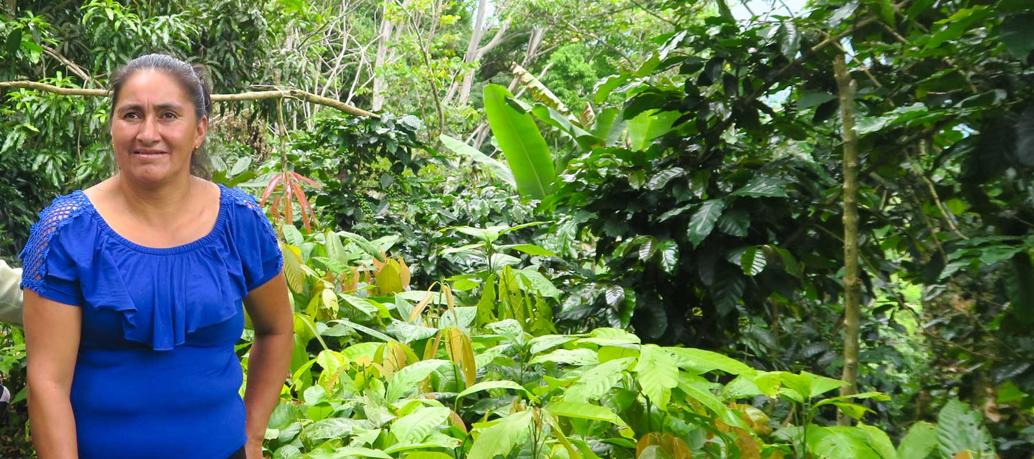 Financial literacy training for women coffee growers