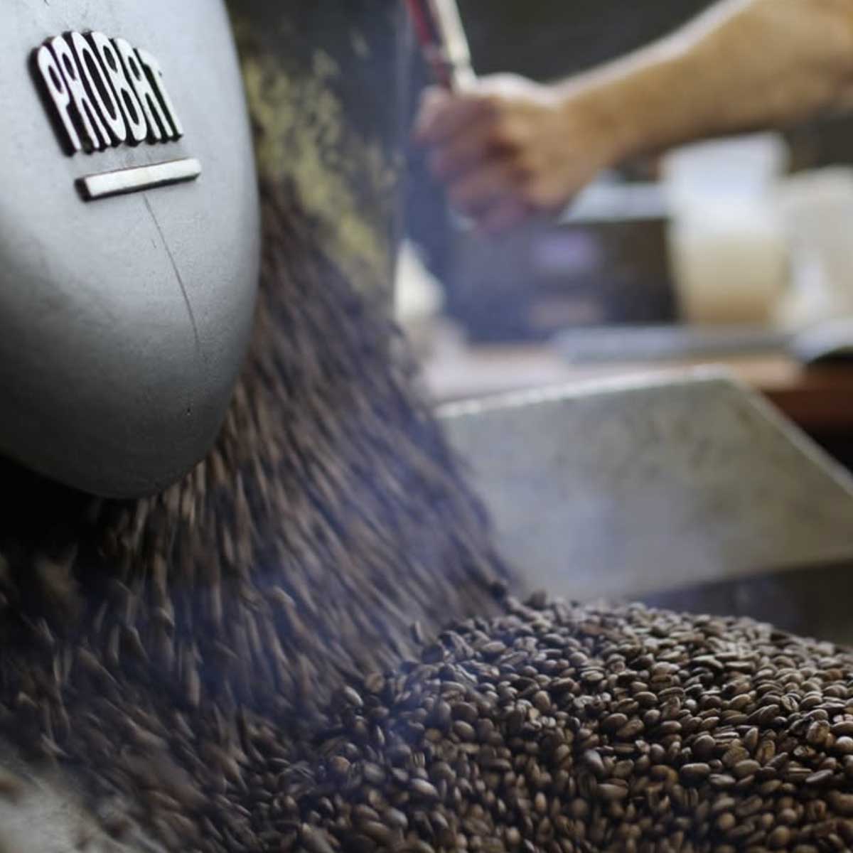 Five Senses coffee roasting with probat equipment