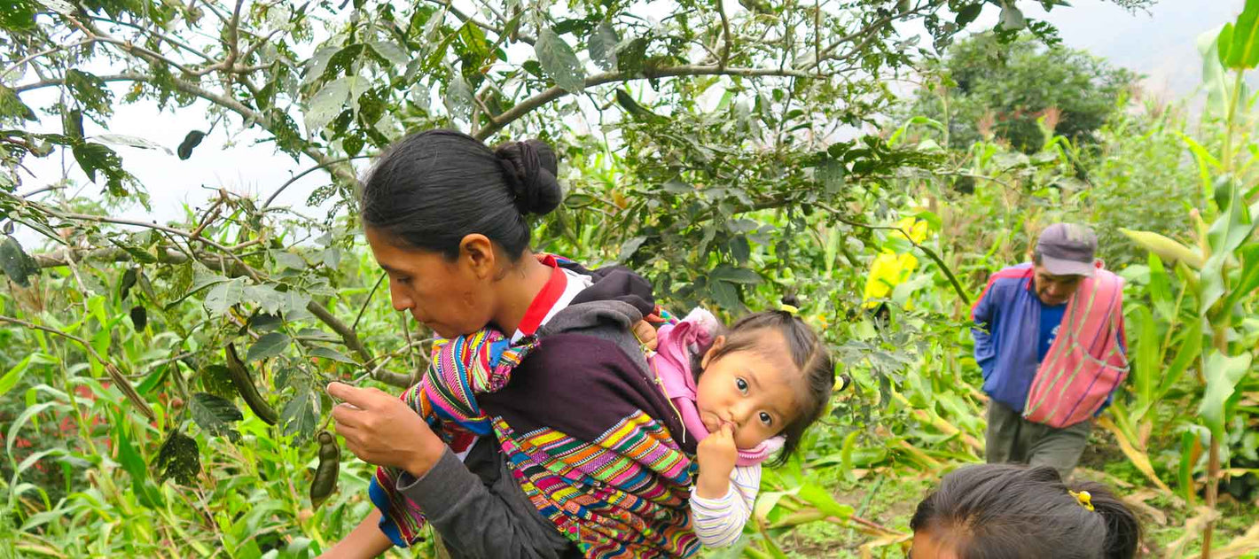 23 Degrees coffee roasters engagement in social projects advancing coffee growing communities..