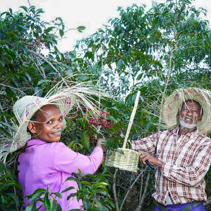 Ethiopian coffee farmers from Yirgacheffe