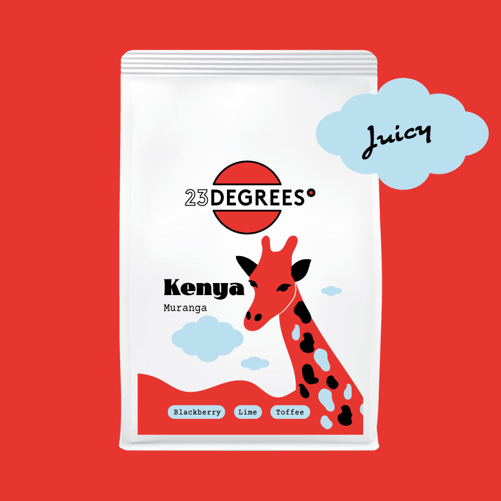 Single origin coffee from Kenya roasted by 23 Degrees coffee roasters