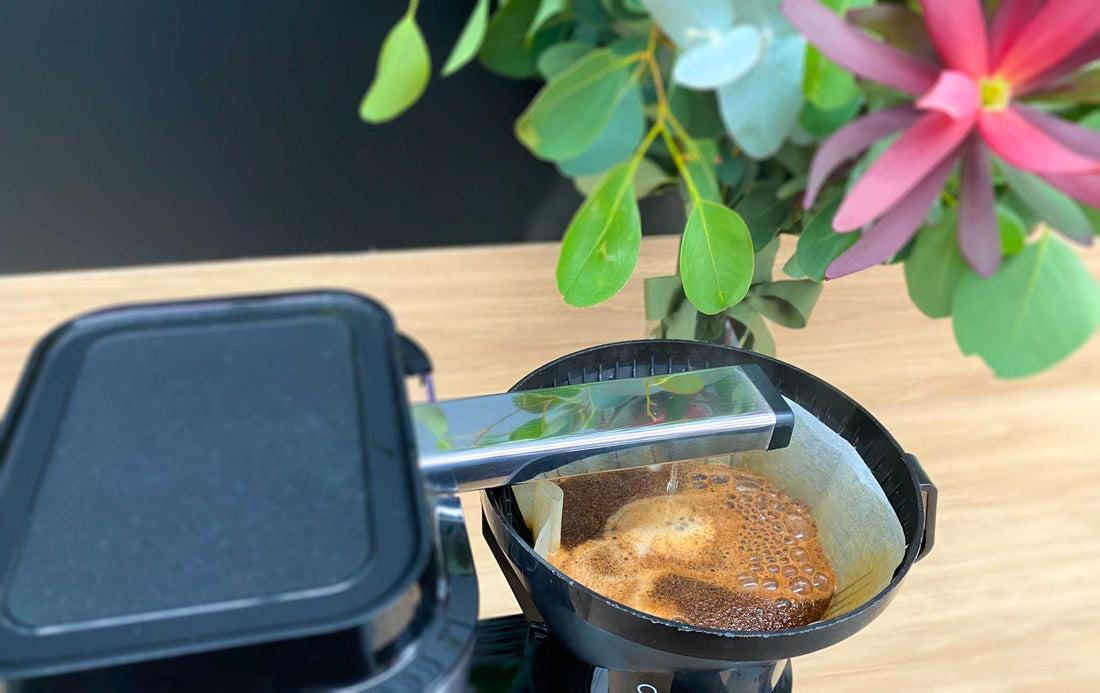 Batch Brew Recipe And Brew Guide 23 Degrees 23 Degrees Coffee Roasters