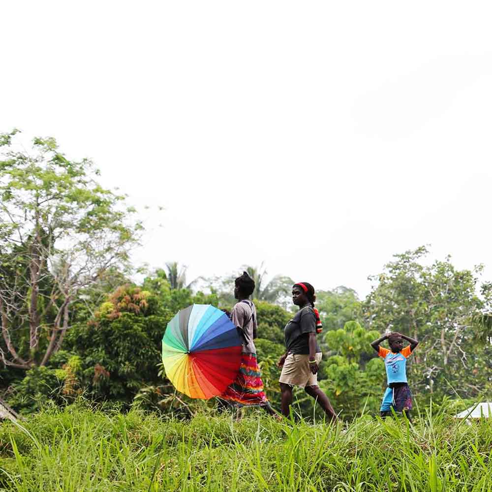 coffee PNG highlands Photo by Vasti Woest