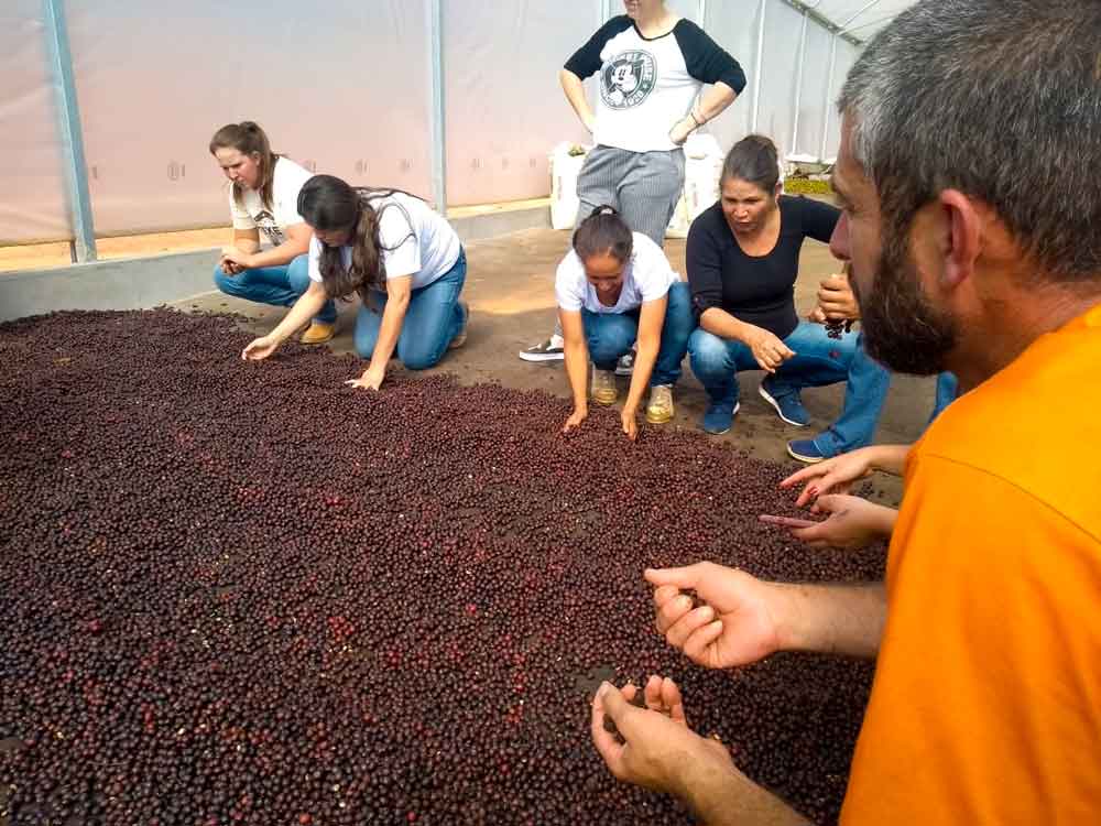 coffee training Brazil Flores em acao sponsored by 23 Degrees
