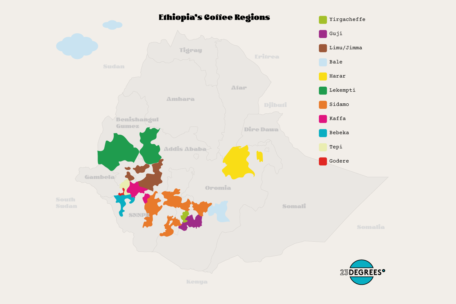 where coffee is grown in Ethiopia. Ethiopian coffee growing map.