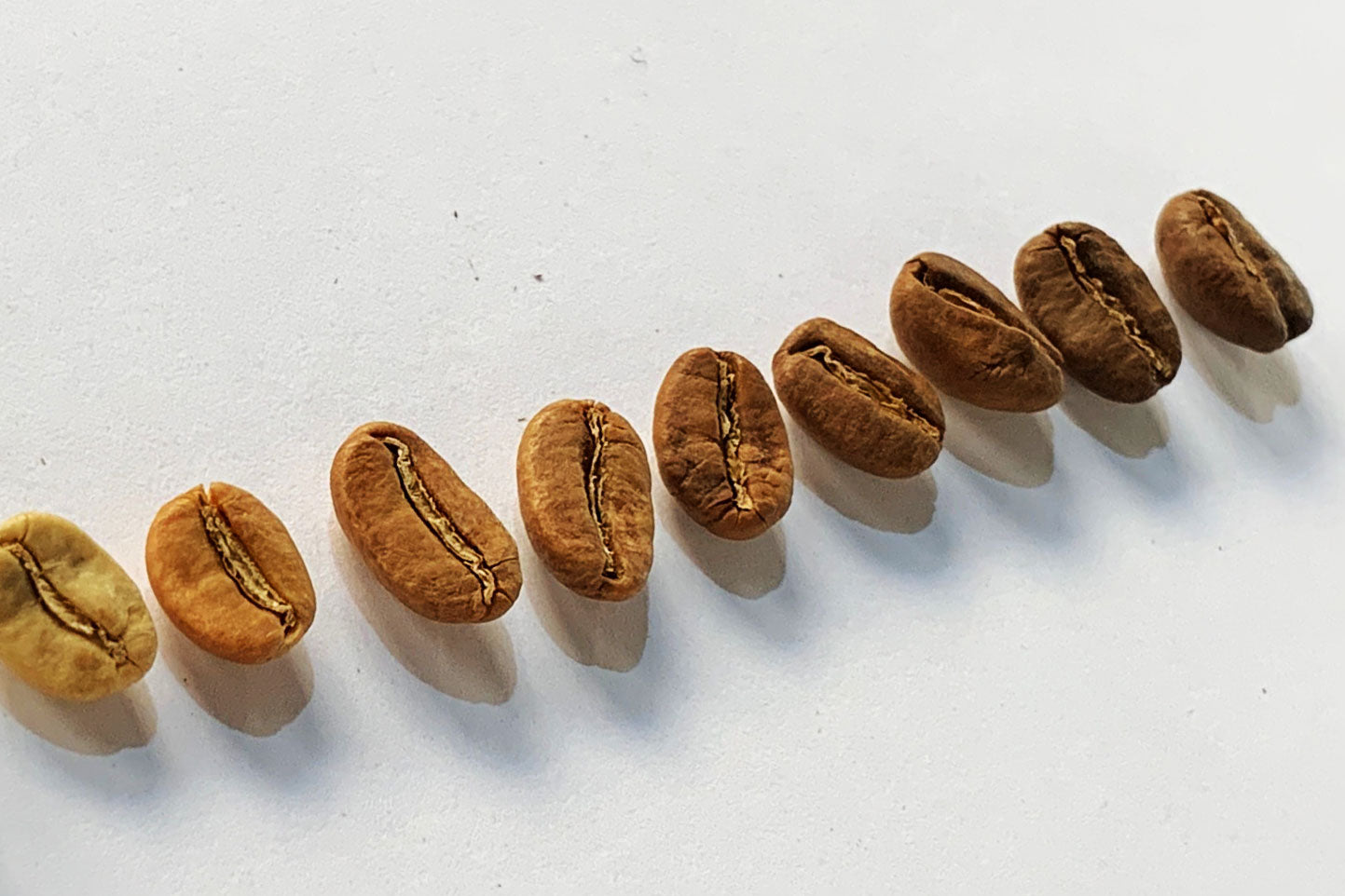 Different roast level of coffee beans explained