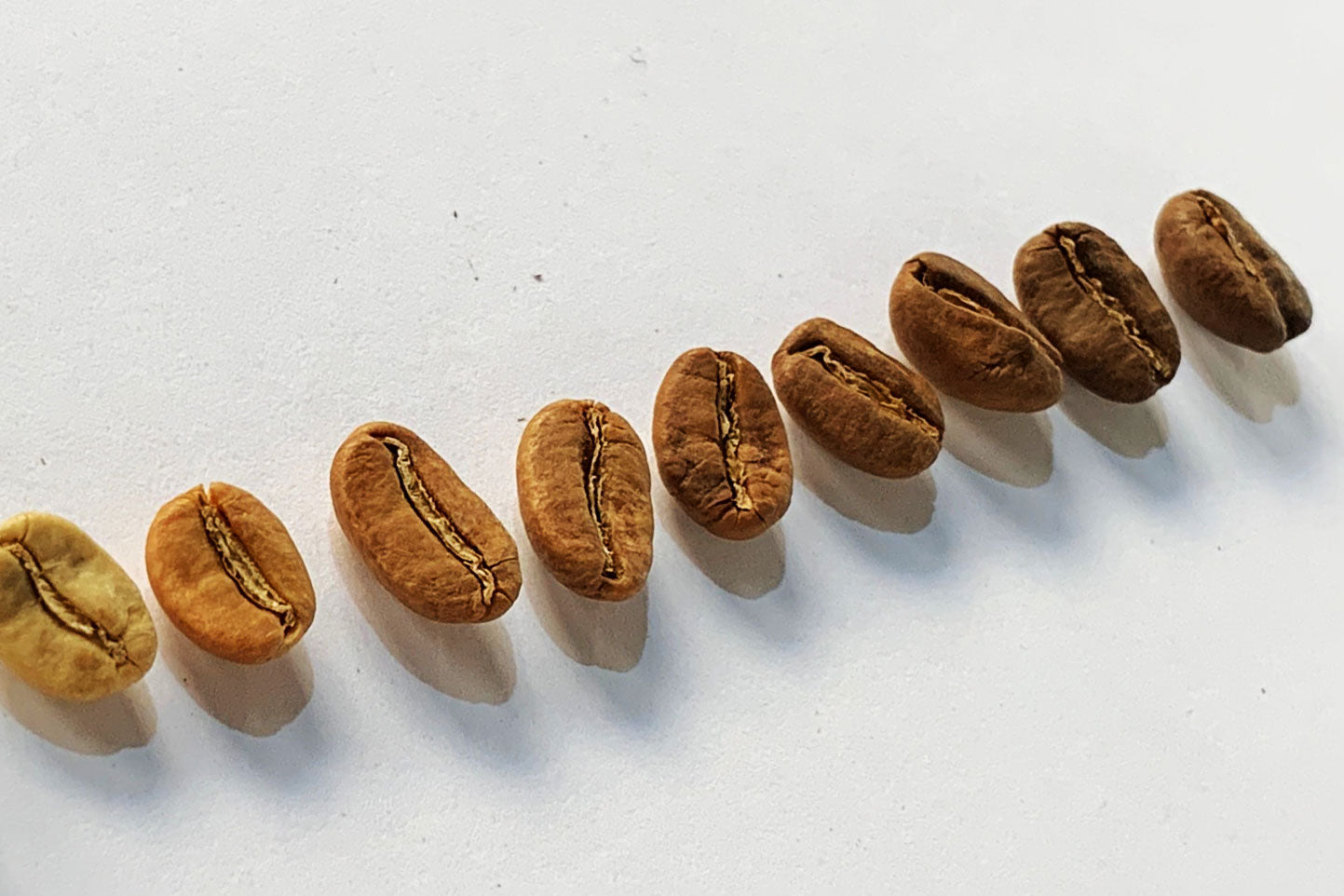 different roast colours of coffee beans