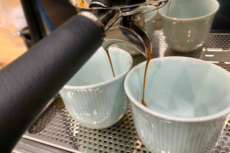 Espresso Extraction guide Espresso made easy. 23 Degrees Coffee