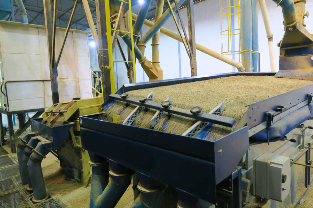 dry milling fascility