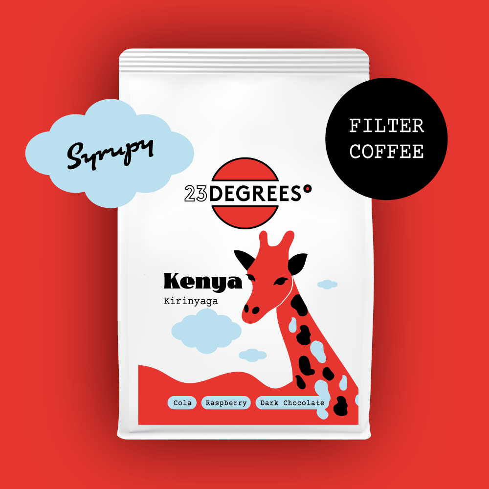 Photo of Filter | Kenya | Kirinyaga | Microlot | Washed