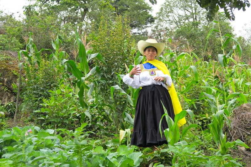 Paula's vegetable garden funded by the cafe femenino foundation