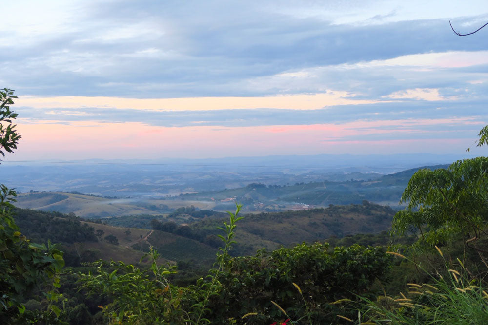 Mantiqueira de Minas is one of Brazil's most awarded coffee growing regions.