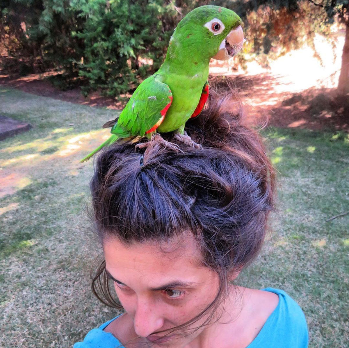 Bird aviary at Fazenda Pinhal