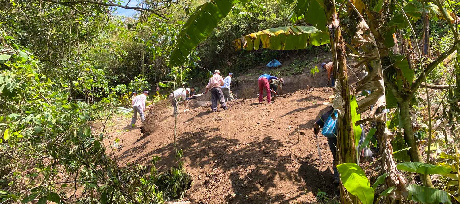 Supporting our coffee growers in Peru - social projects.