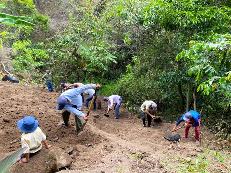starting to dig. All hands on deck.