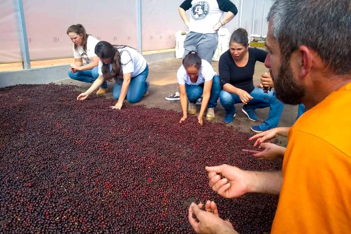 Coffee Fermentation workshop sponsored by 23 Degrees Coffee Roasters for women coffee growers in Brazil.