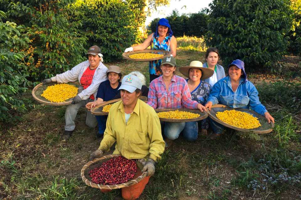 Women growers coffee range - all coffees produced by women farmers